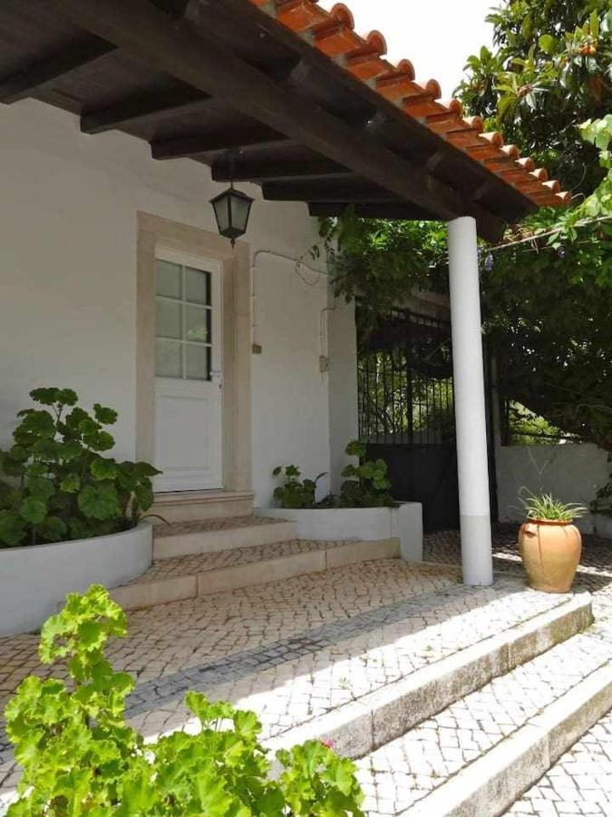 Casa Dos Pocinhos Ferias Tranquilas No Campo Torres Novas Exterior photo